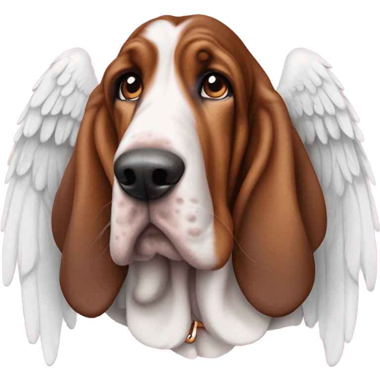 Old age basset hound with angel wings sat in meadow, large bing D collar  emoji