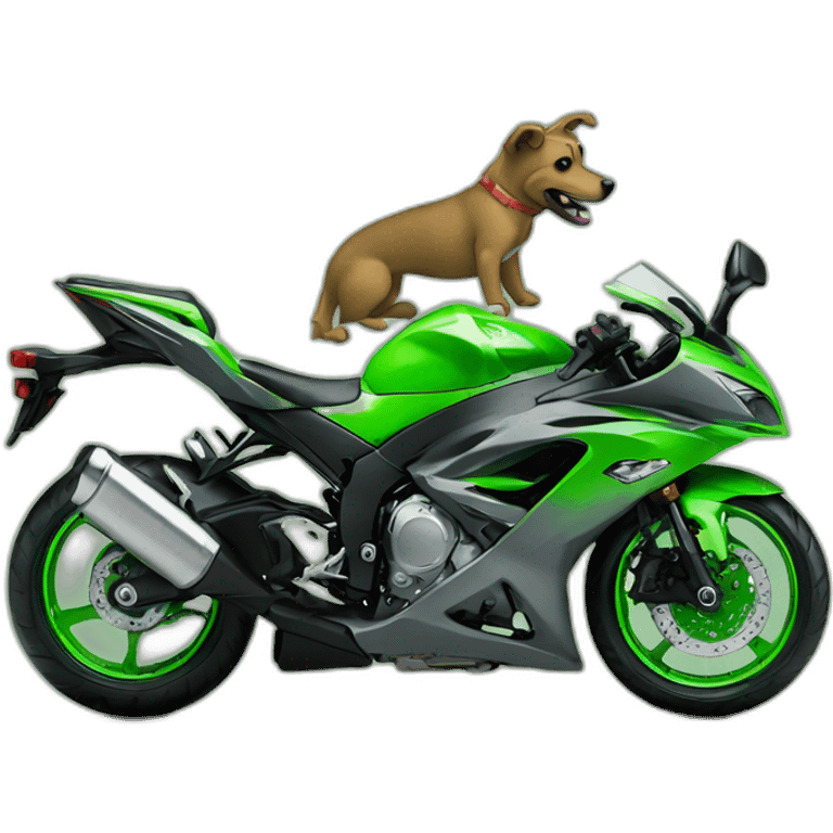 Gray a dog is riding on green Kawasaki ninja emoji