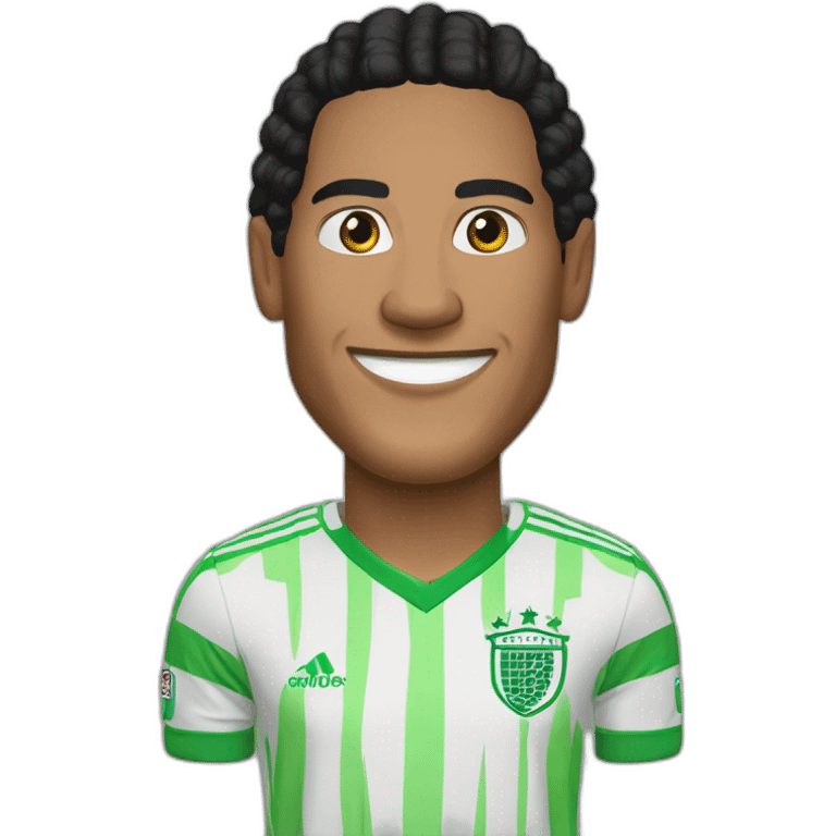 Virgil Van-dijk emoji