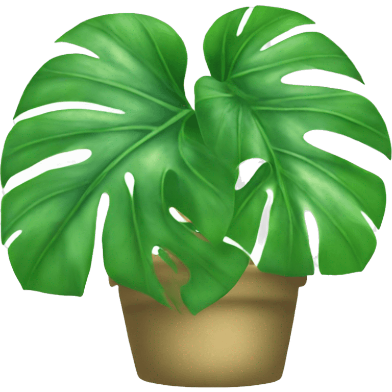 Monstera emoji