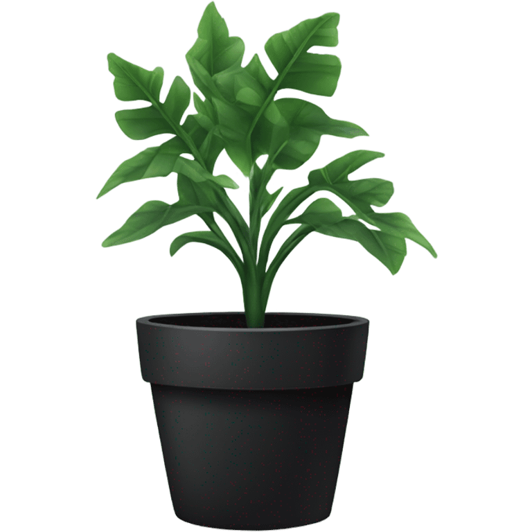 black potted plant emoji