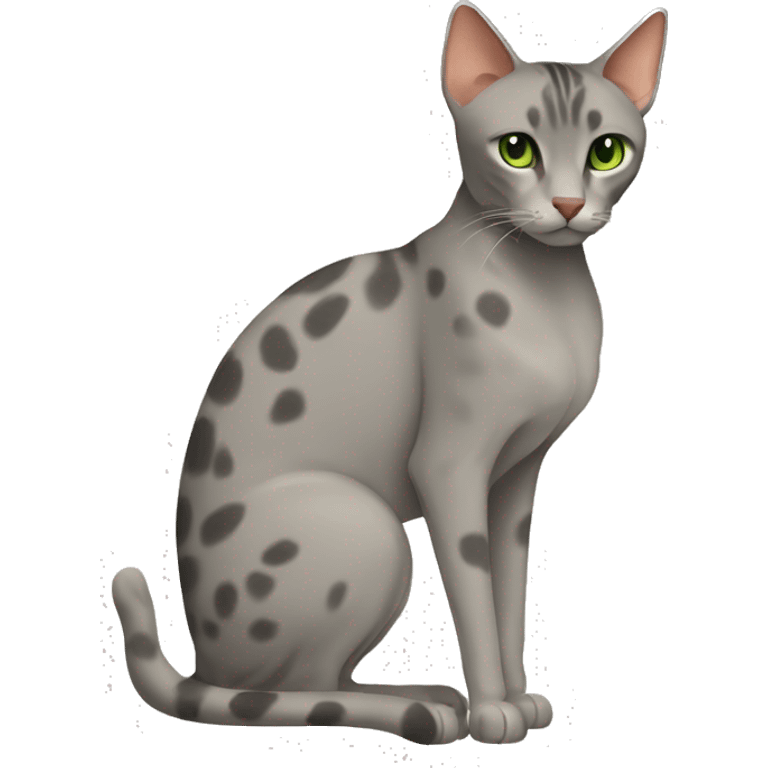 Short-haired oriental cat ,full body , grey coat with small spots , green eyes , terracotta nuzzle emoji