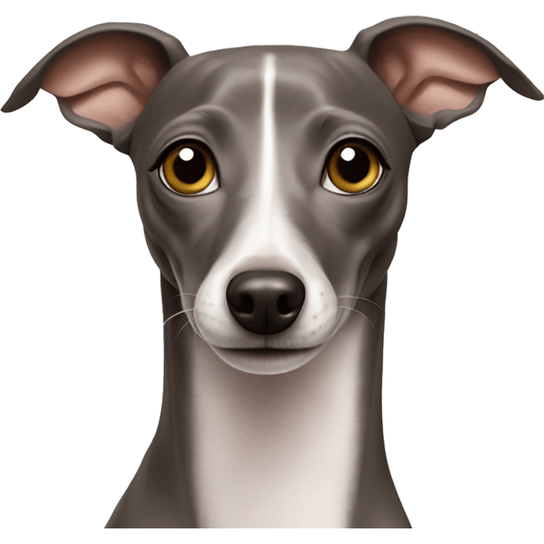 italian greyhound happy emoji