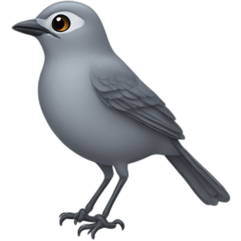 Grey catbird emoji