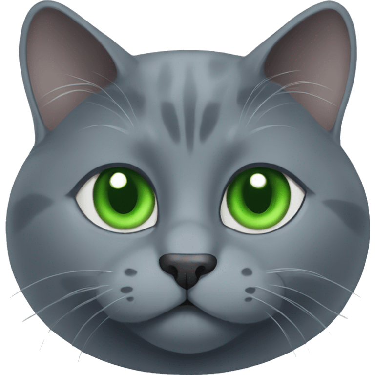 russian blue cat sitting green eyes  emoji