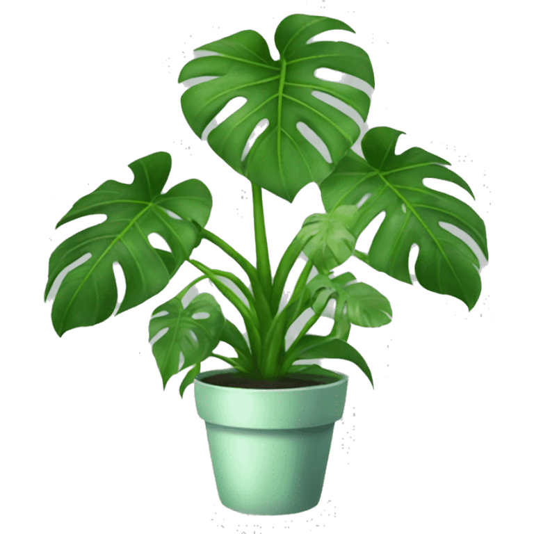 monstera plant  emoji