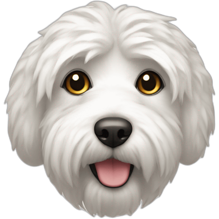 coton emoji