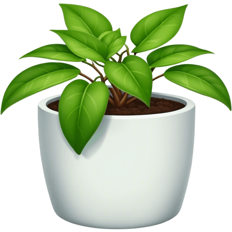 A Hoya Plant in a pot emoji