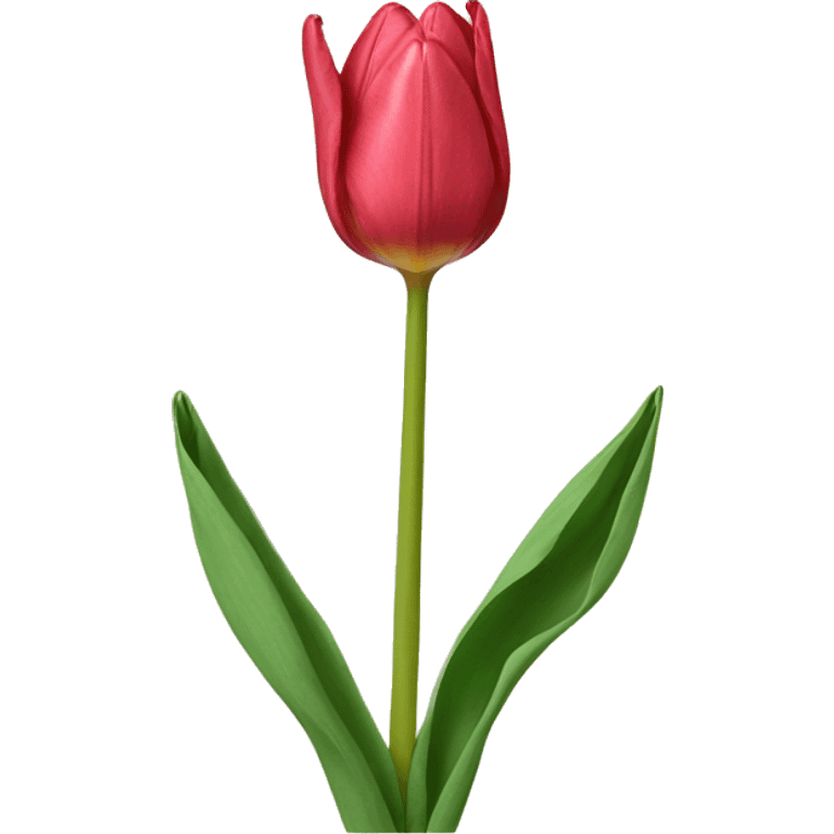 Tulip emoji