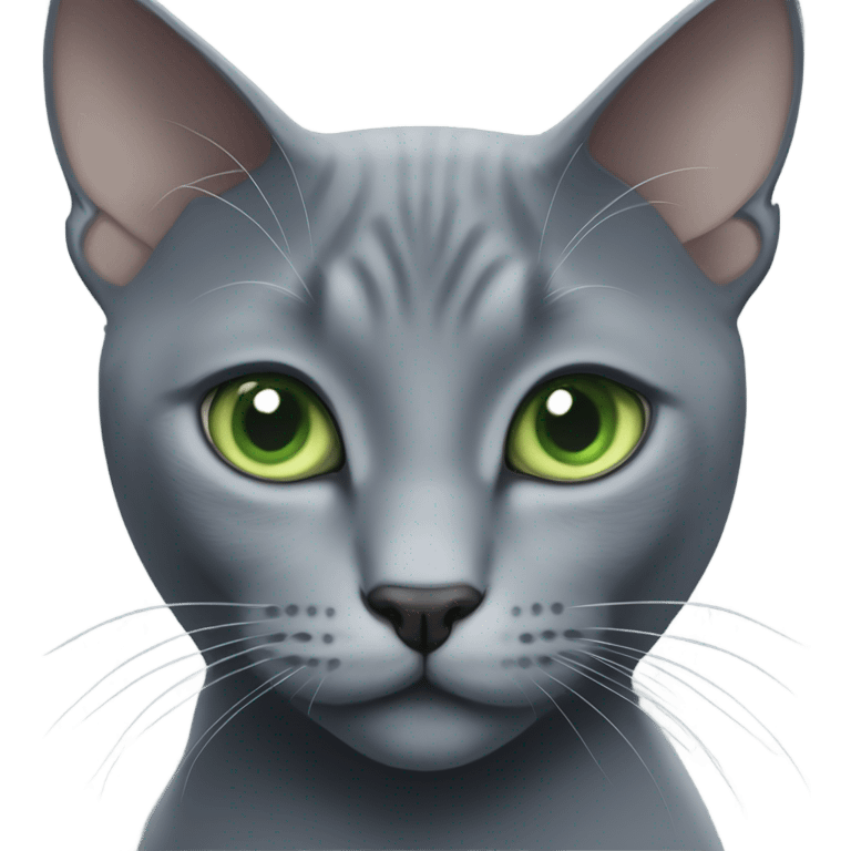 Russian blue cat emoji