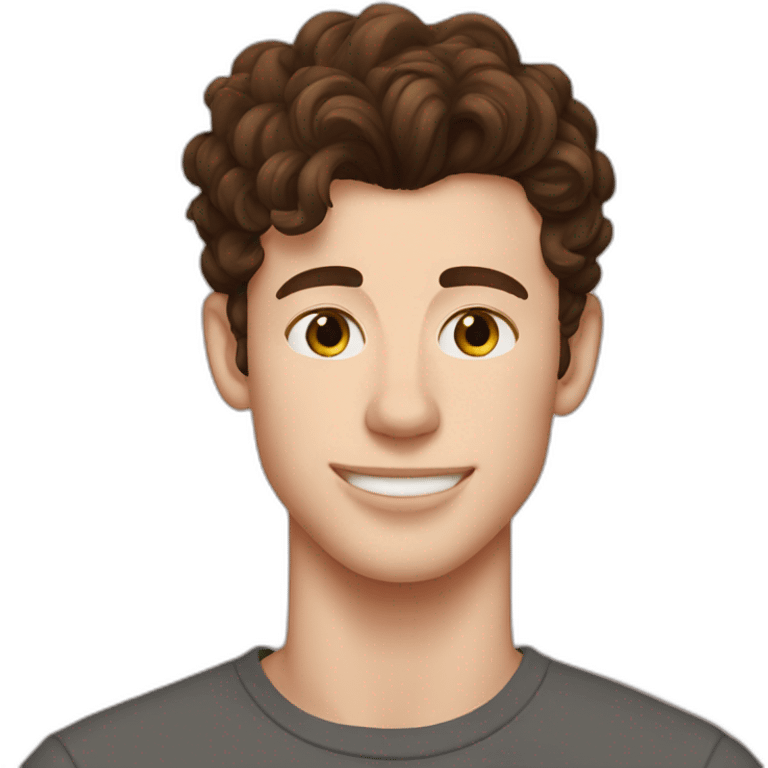 shawn mendes  emoji