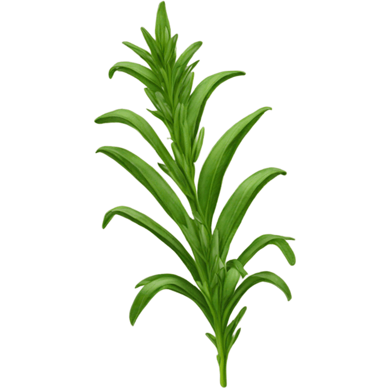 Tarragon  emoji