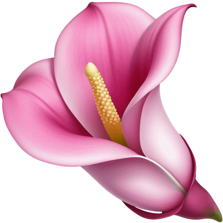 Pink Calla Lily Gypsum emoji