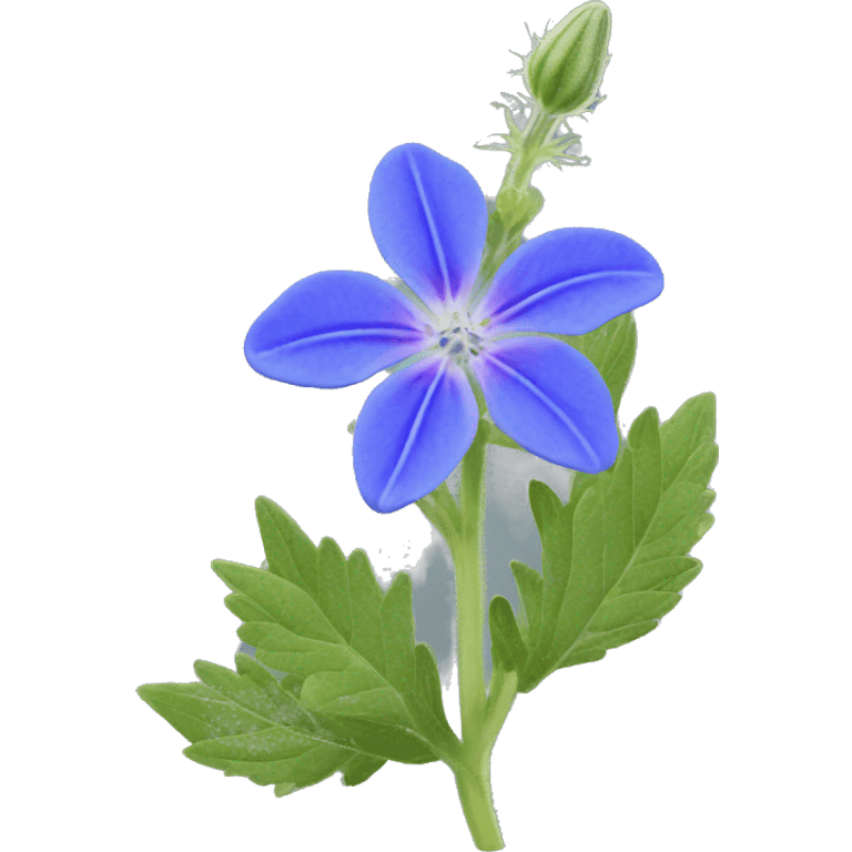 borage flower WITH HIGH SATURATION emoji