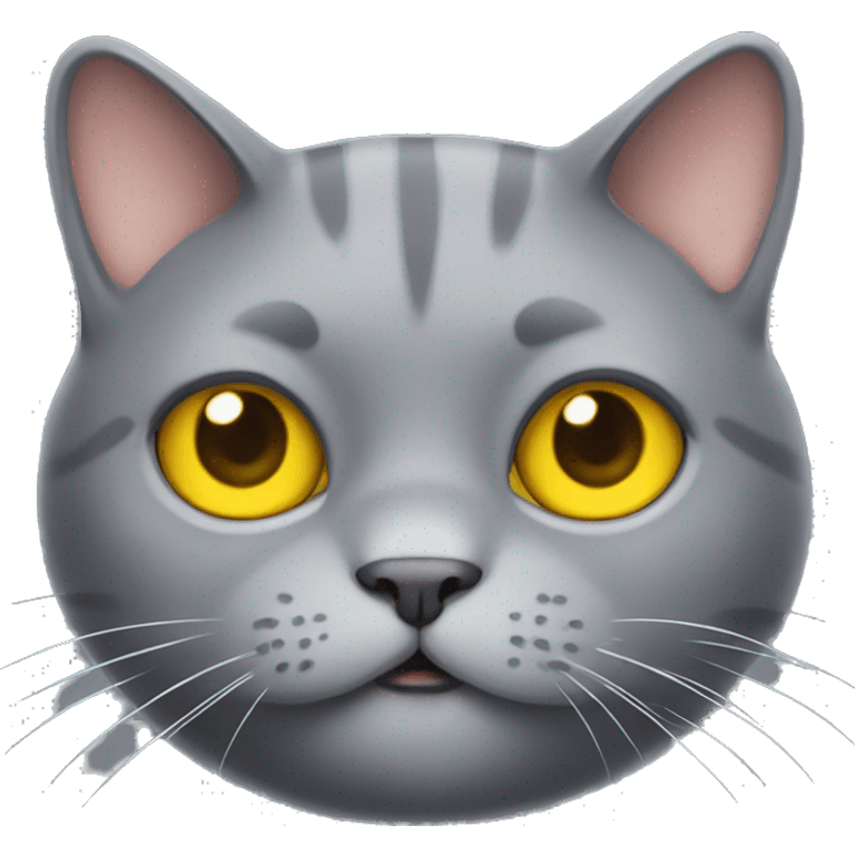 Cute grey fat cat with yellow eyes  emoji