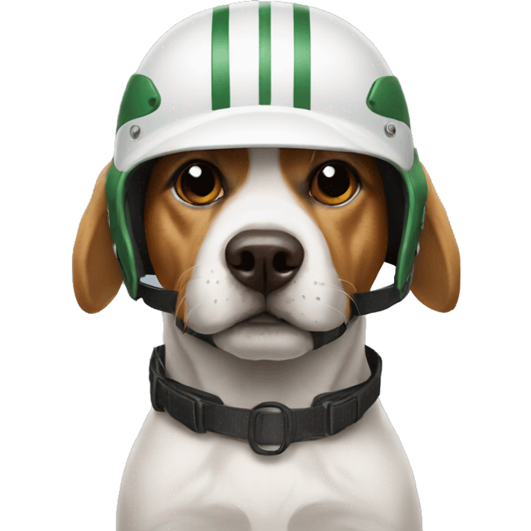 Dog wearing cricket helmet  emoji