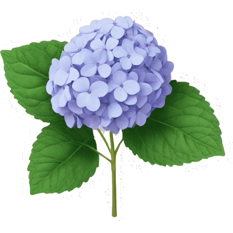 Hydrangea emoji