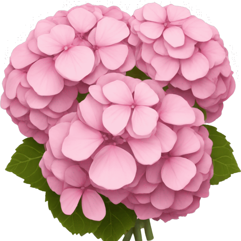 Pink hydrangeas bouquet  emoji