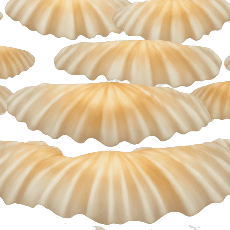 scallop emoji