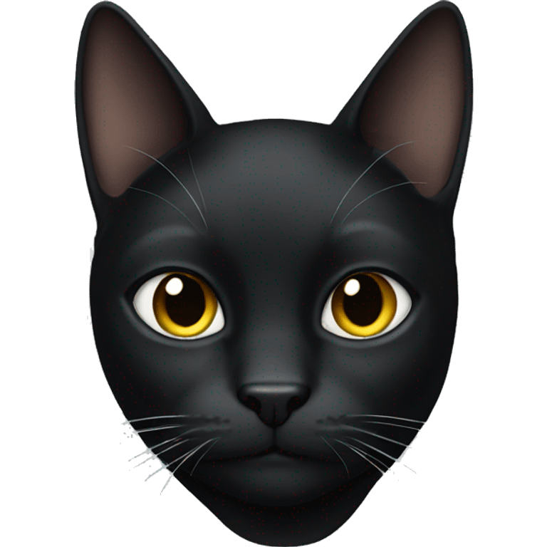 Head Black cat black background emoji