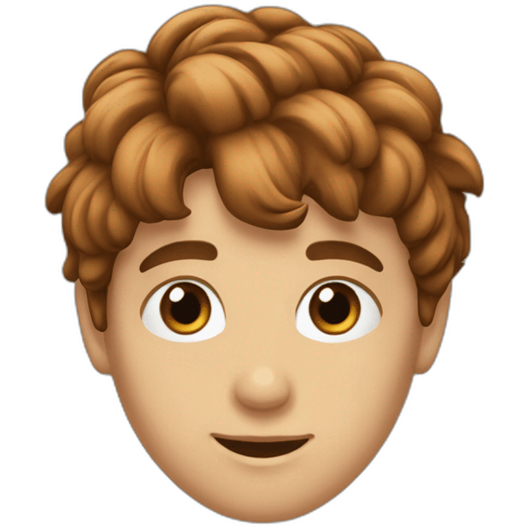 Garçon cheveux marron yeux marron emoji