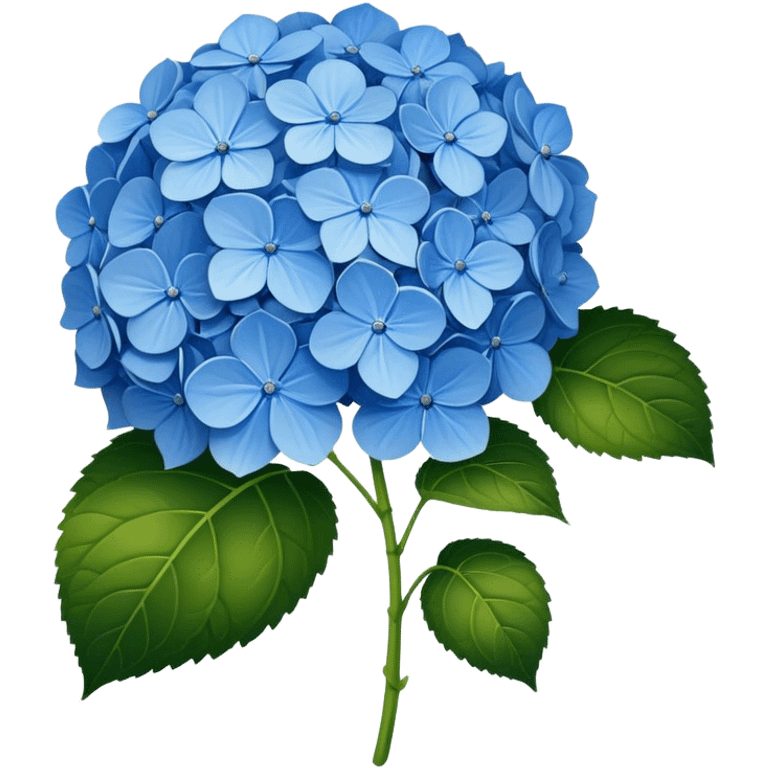 blue hydrangea emoji