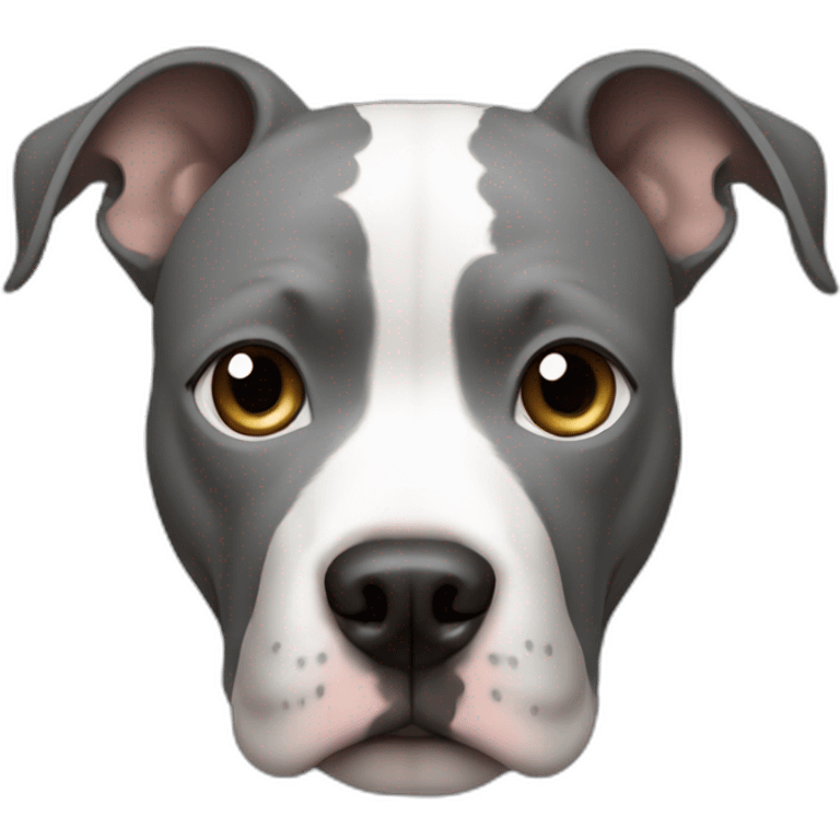 pitbull white with a gray circle around the right eye emoji