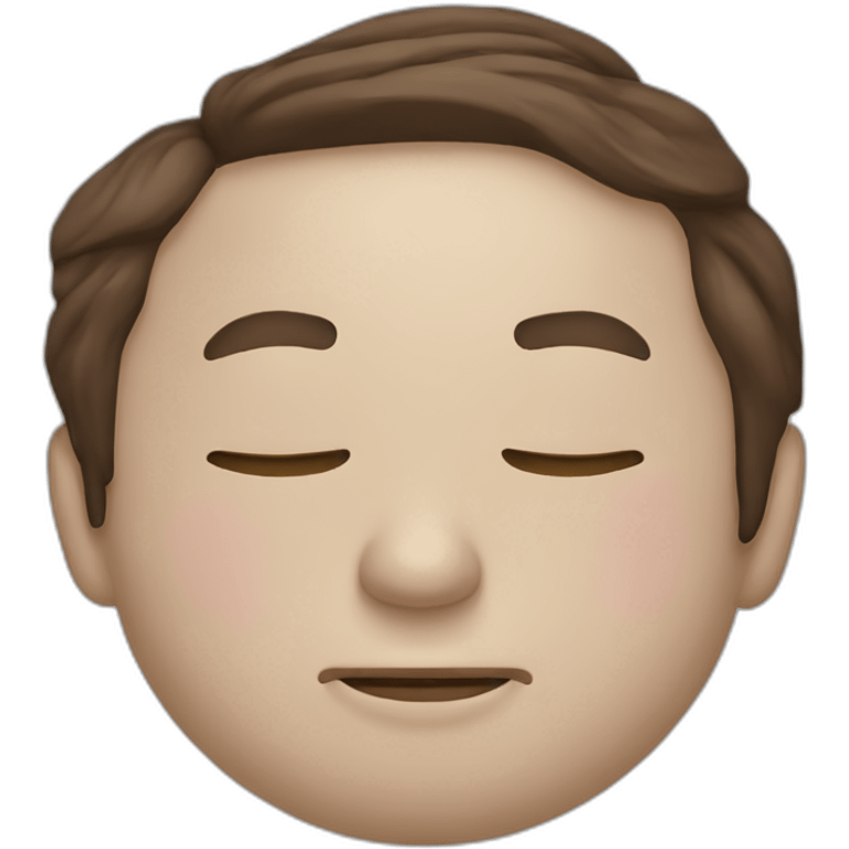 Elon musk sleeping emoji