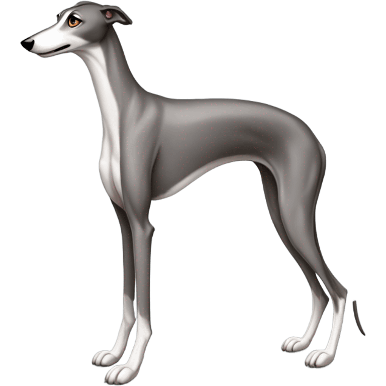 Greyhound emoji