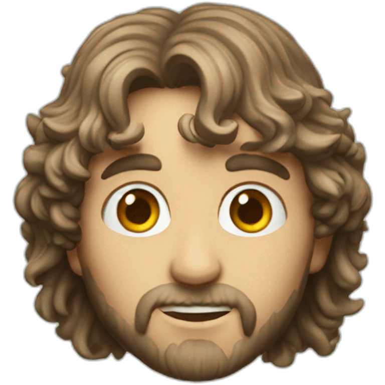 peregrin took lord of the ring emoji