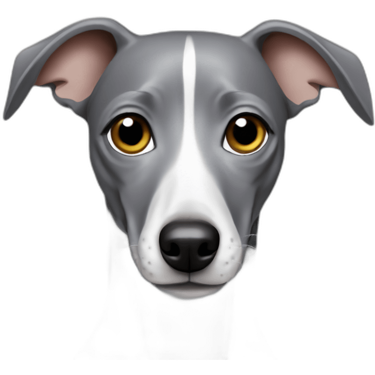 all grey Italian greyhound emoji emoji