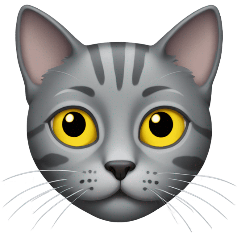 Grey cat with yellow eyes that’s a little chunky emoji