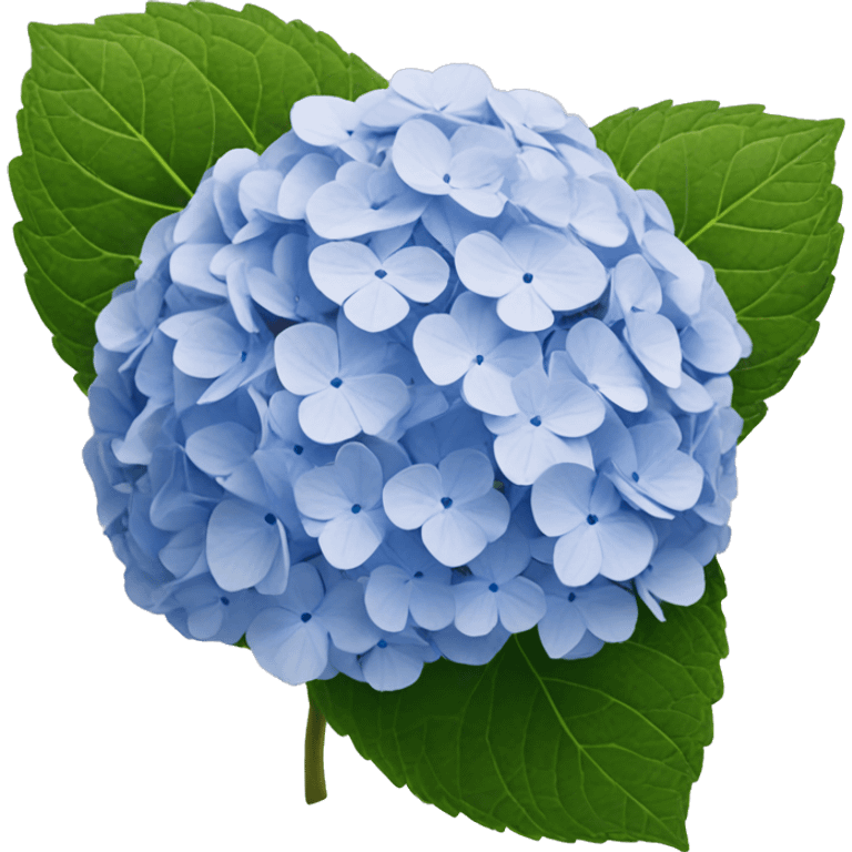 Hydrangea  emoji