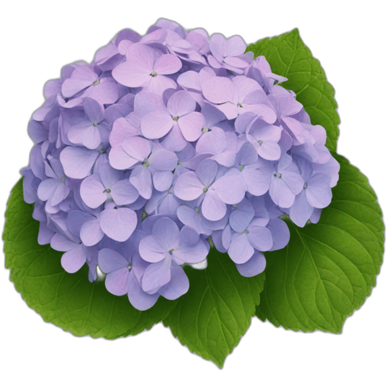 hydrangea emoji