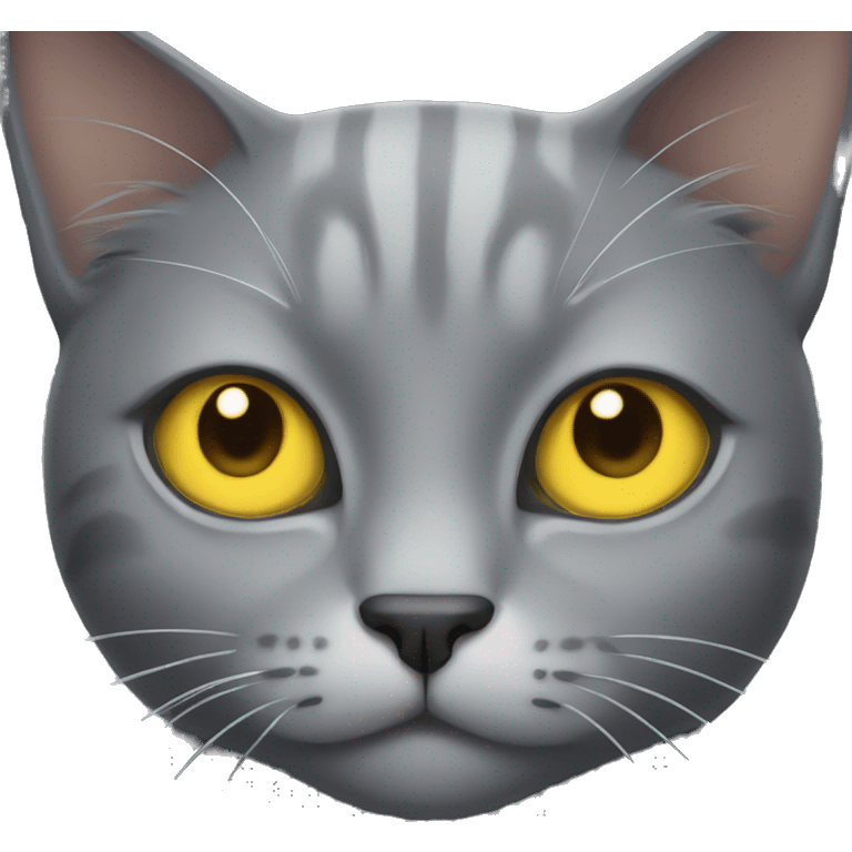 Grey cat with big yellow eyes emoji