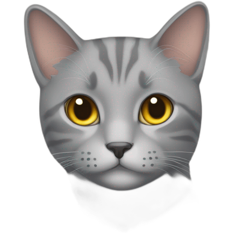 grey cat, with name tag that says: Archi emoji