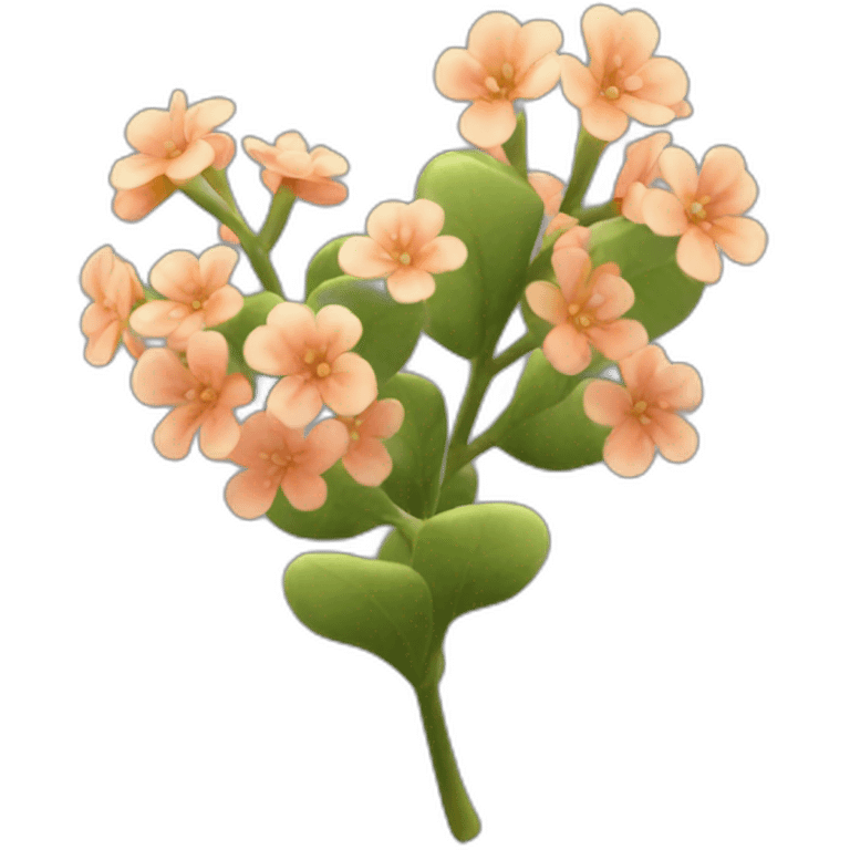 kalanchoe thyrsiflora leaves emoji