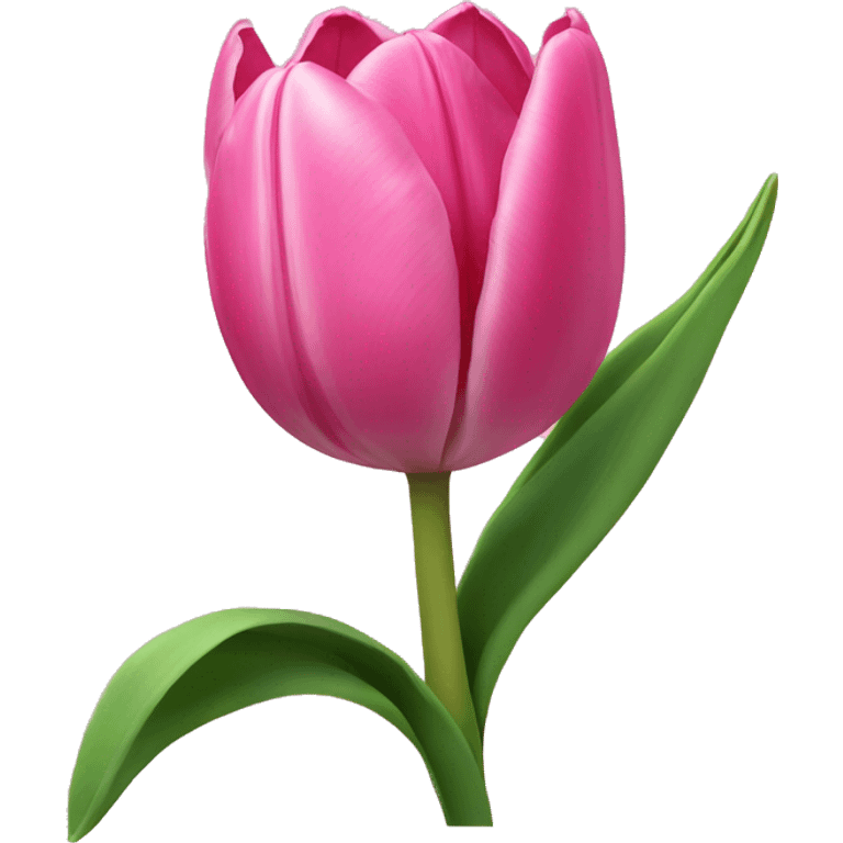 Pink tulip  emoji