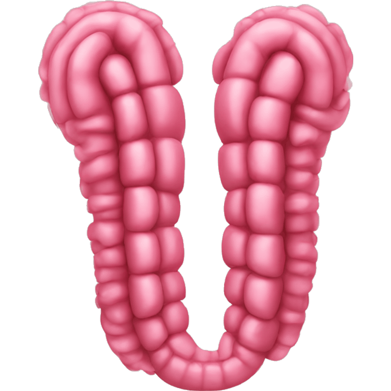 intestine emoji