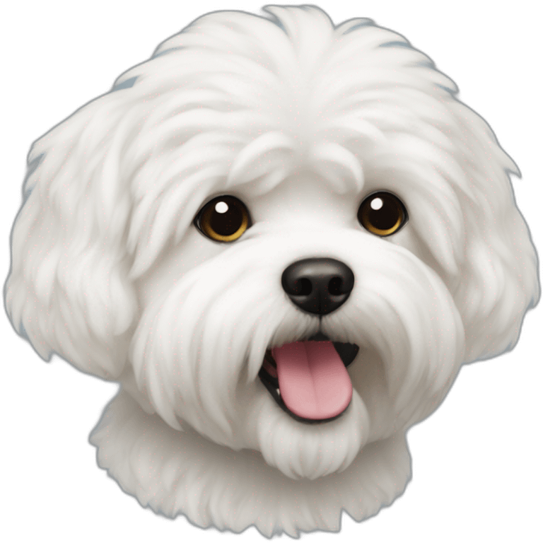 Bichon Havanais emoji