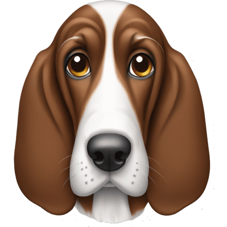 Brown and white basset hound head emoji