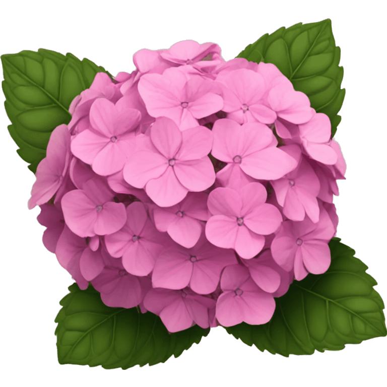 Pink hydrangeas  emoji