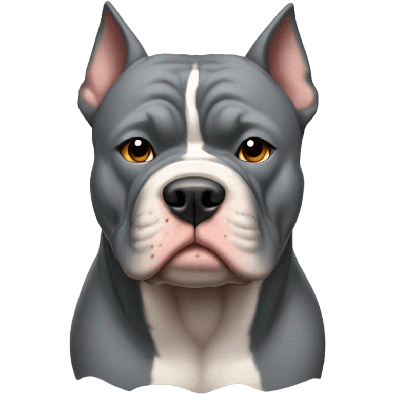 American bully grey  emoji