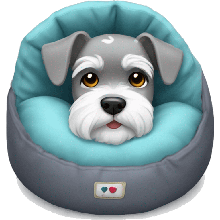 Grey and white mini schnauzer full body asleep in dog bed      emoji