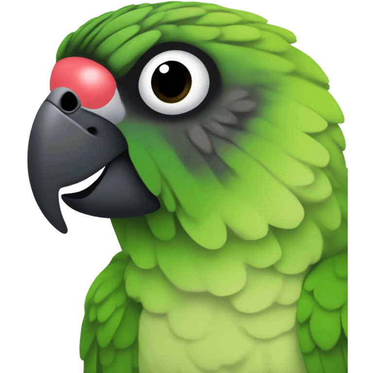 green cheek conure with black head emoji