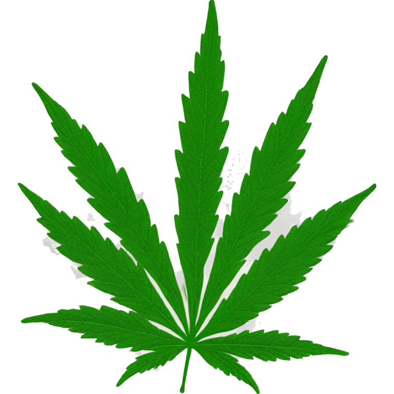 Cannabis leaf in New York City  emoji