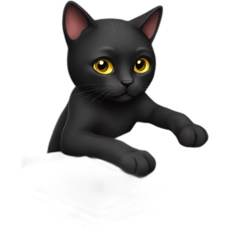 black cat studying emoji