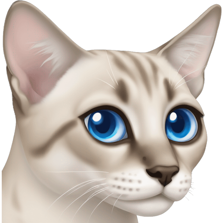 Lynx point Siamese cat with blue eyes  emoji