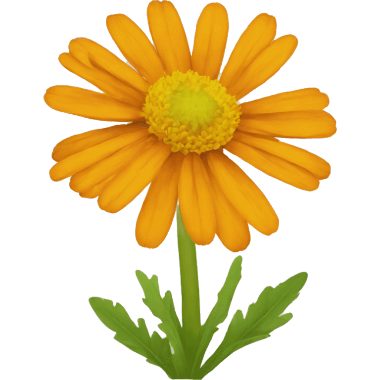 calendula emoji