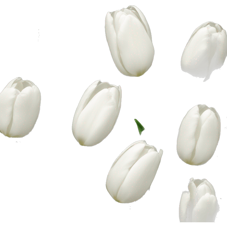 tulips white emoji